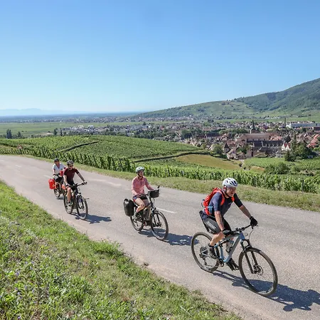 Otel Maison Turenne Colmar