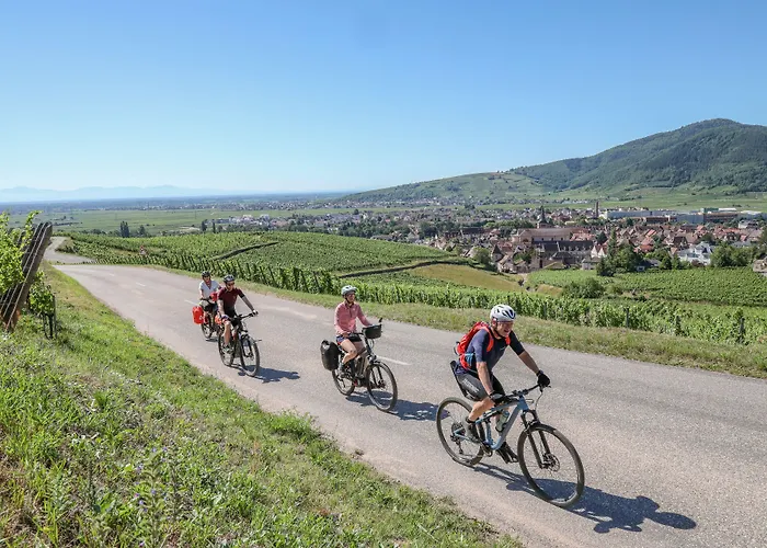 מלון Maison Turenne קולמר